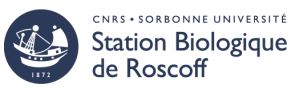 Station Biologique de Roscoff - CNRS